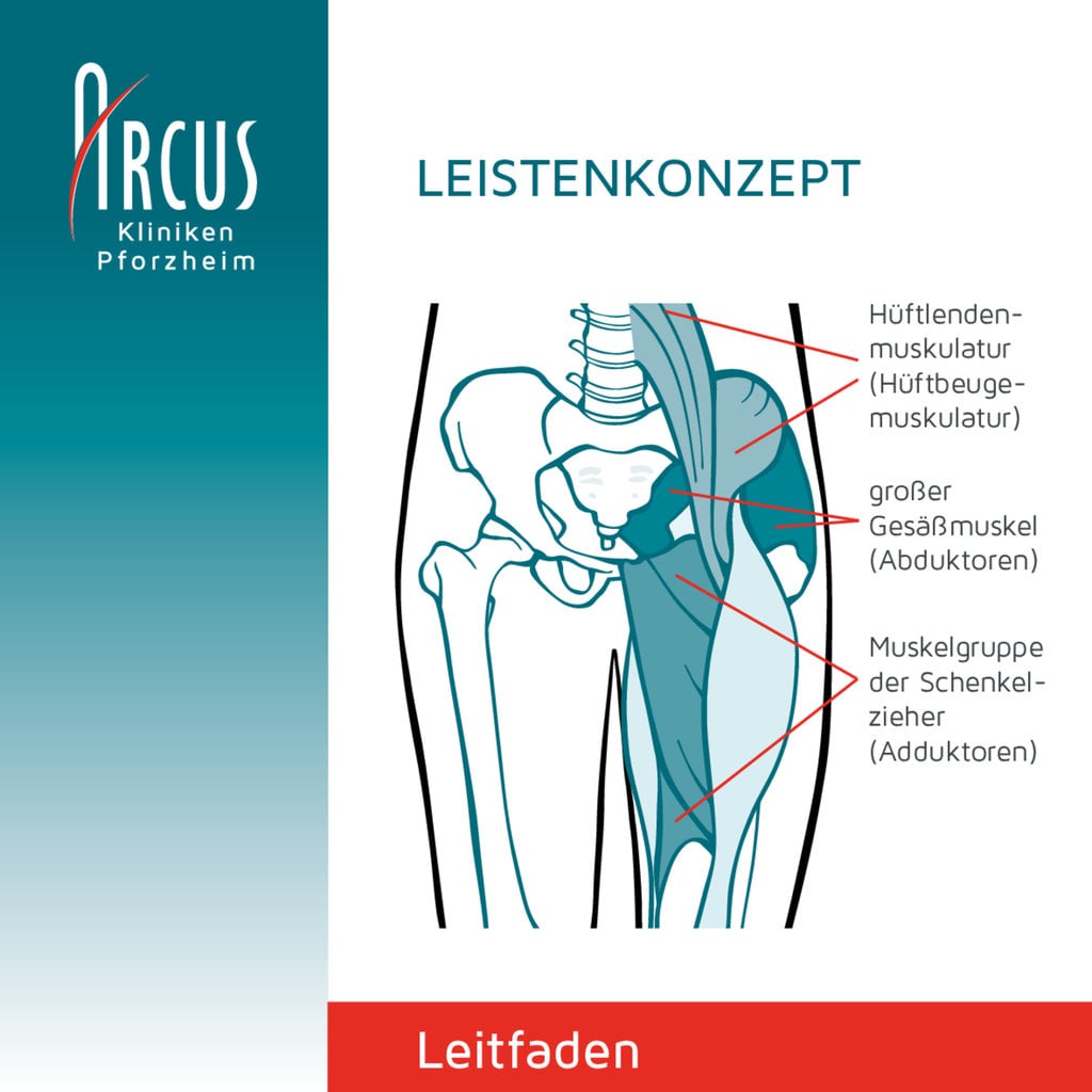 Therapie-Leitfaden Leistenkonzept