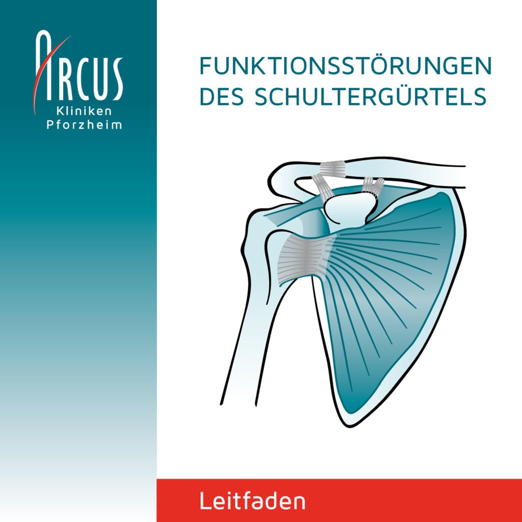 Therapie-Leitfaden Funktionsstörungen des Schultergürtels